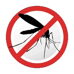 disinfestazione contro le zanzare